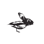Duck Rabbit Coffee