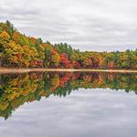 Walden Pond State Reservation