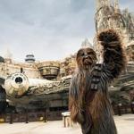 Hollywood Studios
