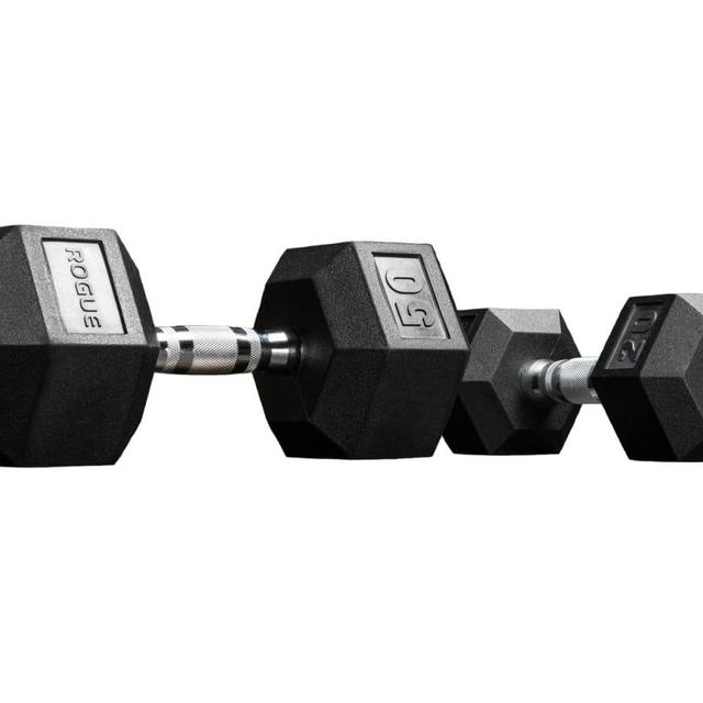 Rogue Dumbbells - 40 LB pair