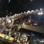 Perot Museum of Nature and Science