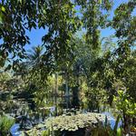 Naples Botanical Garden