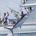 Fishing Charters