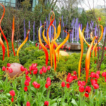 Chihuly Garden and Glass