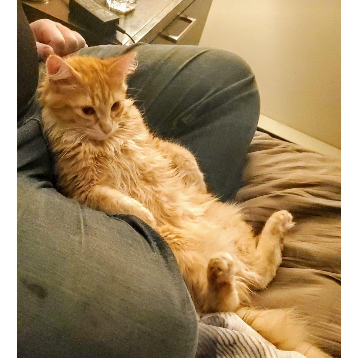 He's also really good at lounging