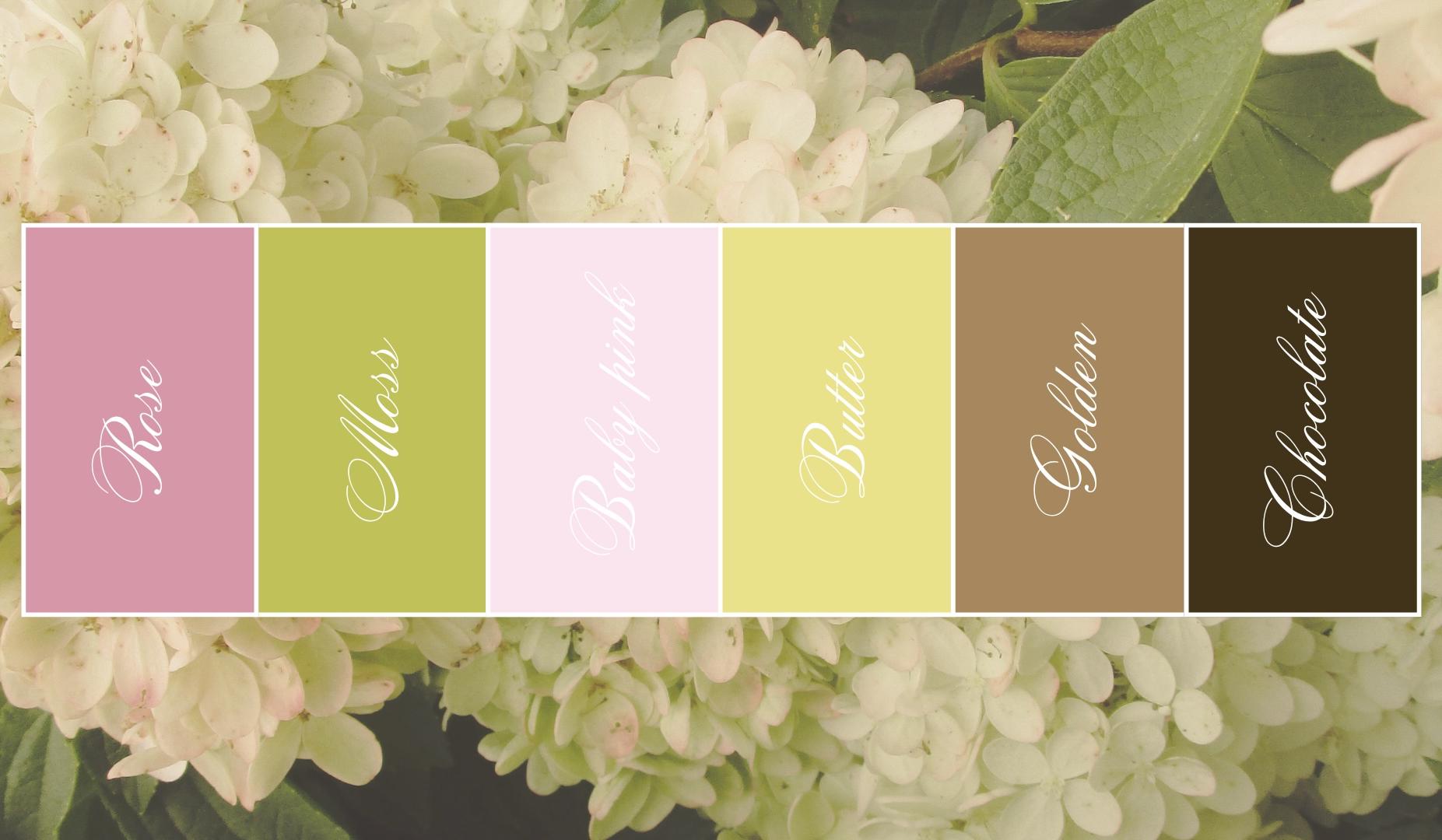 The Wedding Website of Cameryn Maga and Jared Lewis