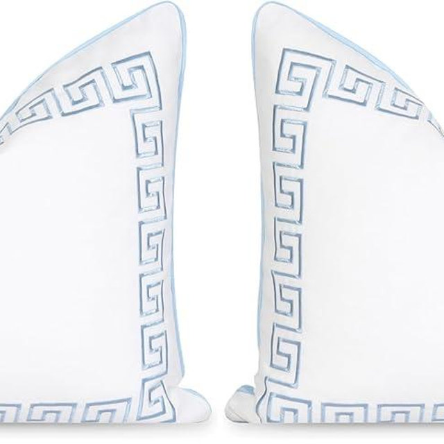 Hofdeco Premium Coastal Patio Indoor Outdoor Throw Pillow Cover Only, 20"x20" Water Repellent for Backyard, Couch, Baby Blue Embroidered Greek Key with Piping (Pack of 2)