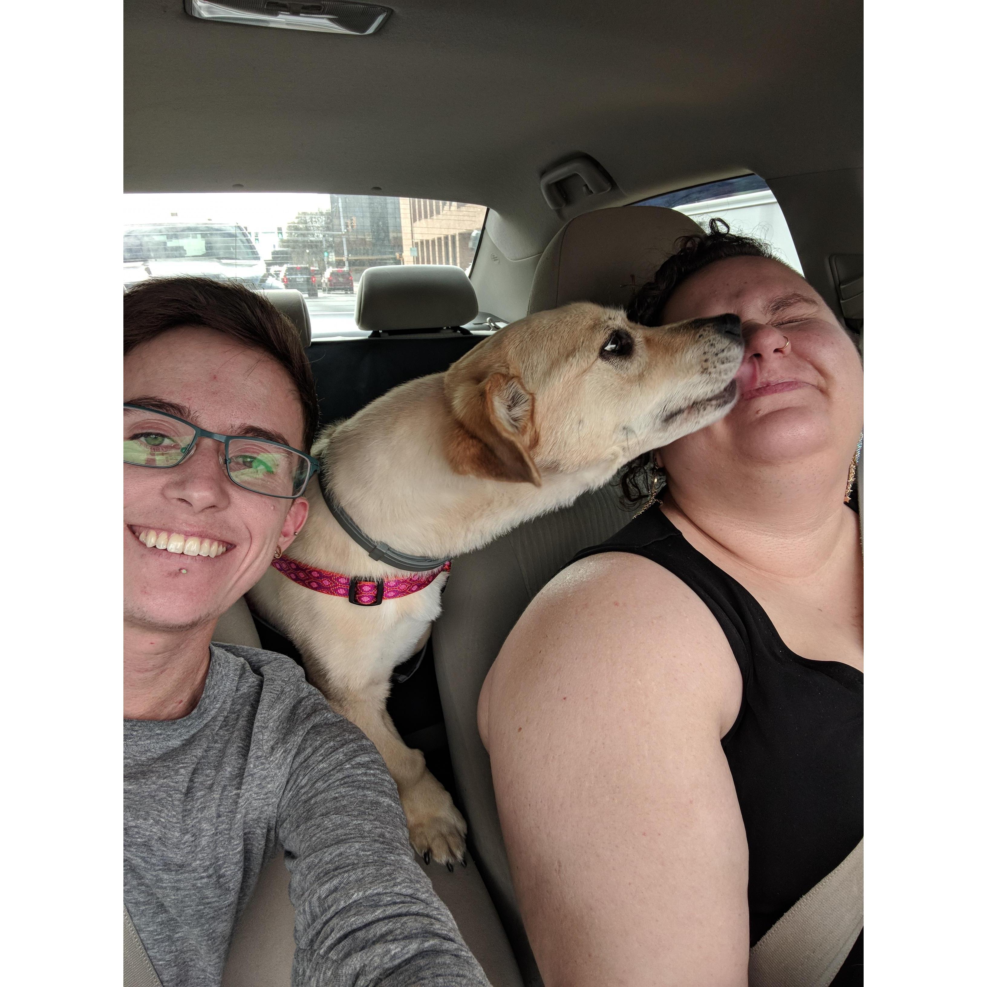 Cali is often our backseat driver