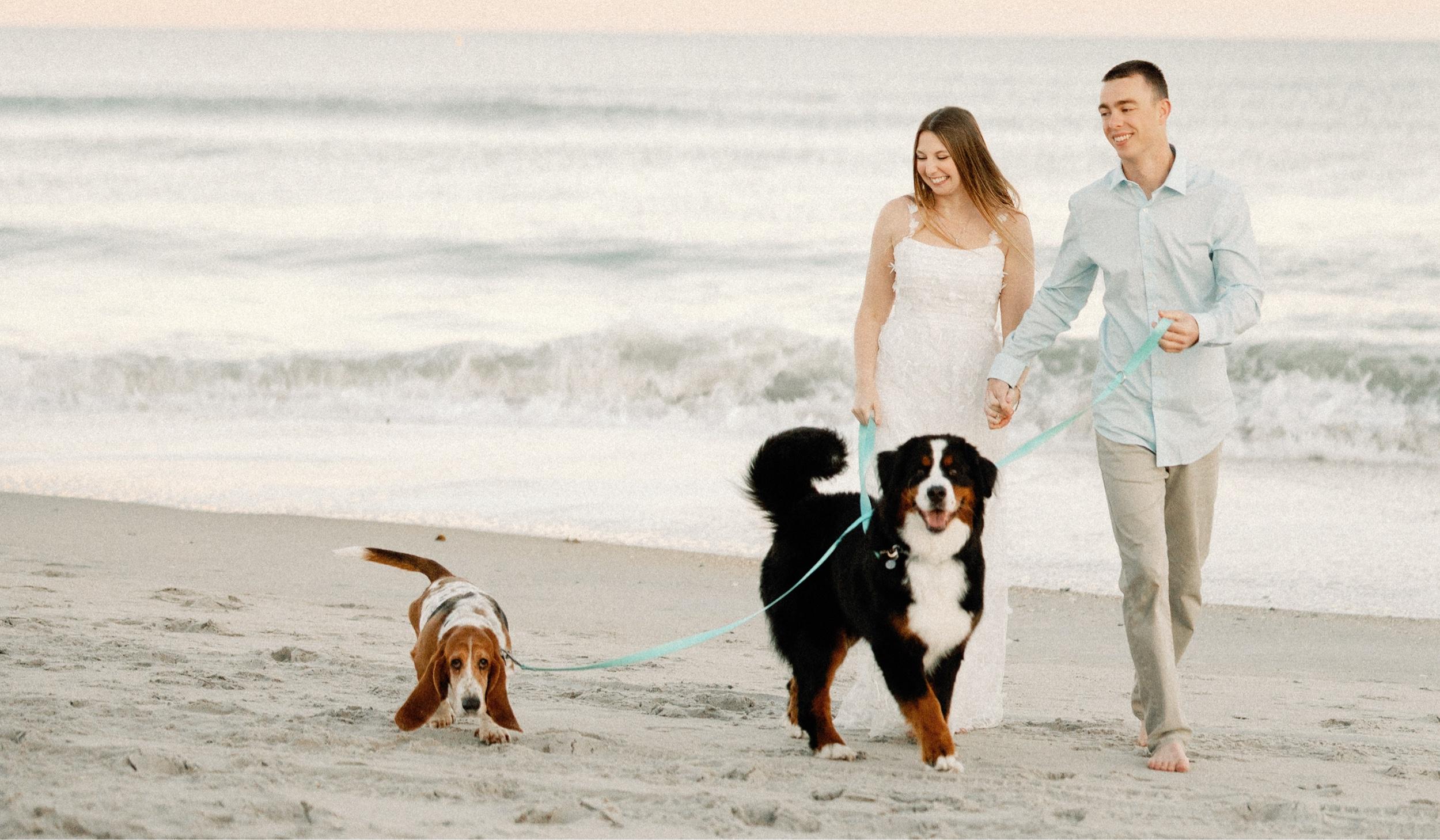 The Wedding Website of Sarah Kanter and Matthew Kasch