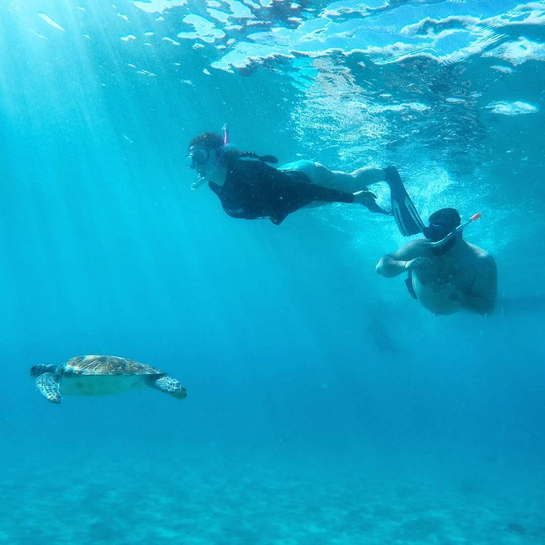 Snorkeling in Playa Piskado, Curaçao