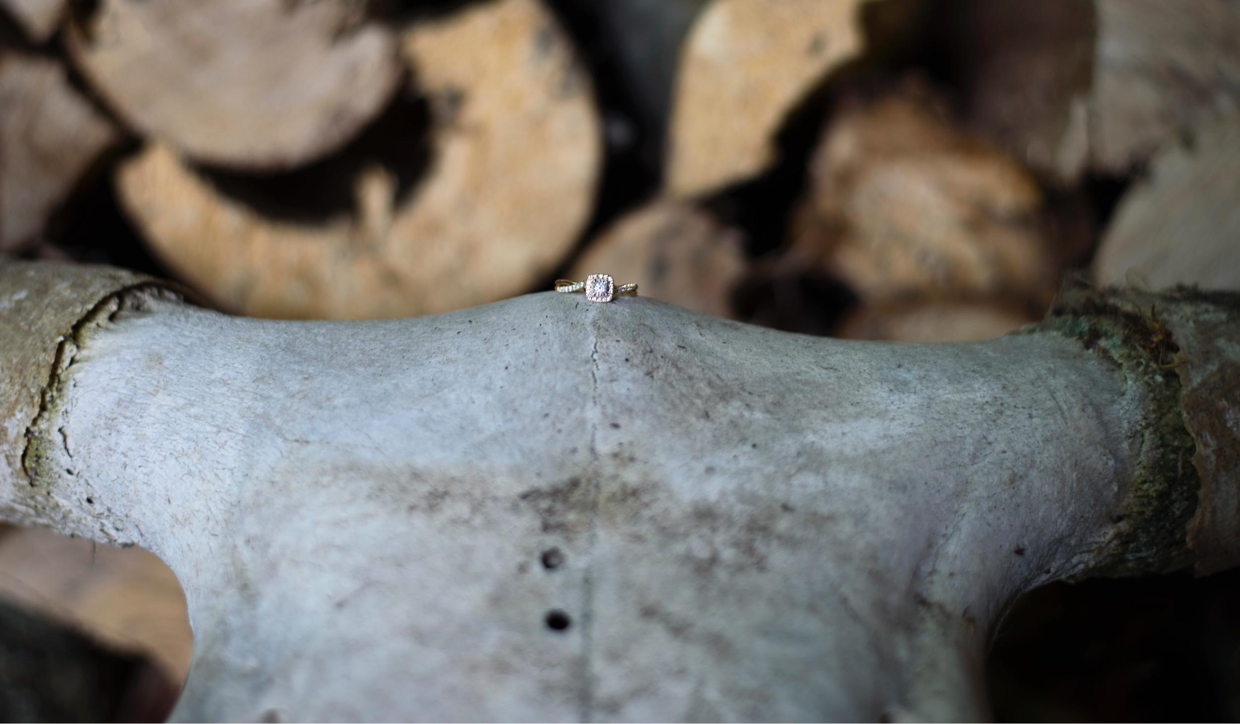 Hero Slideshow Image 4