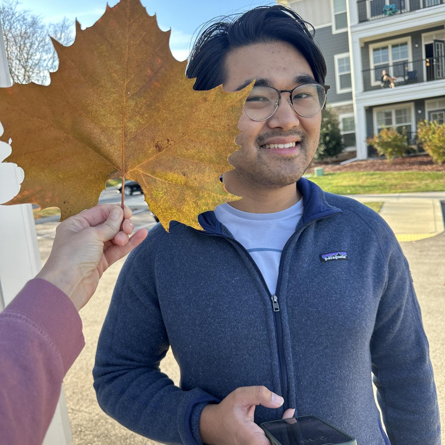 Fall walks after work in Spring Hill, TN.