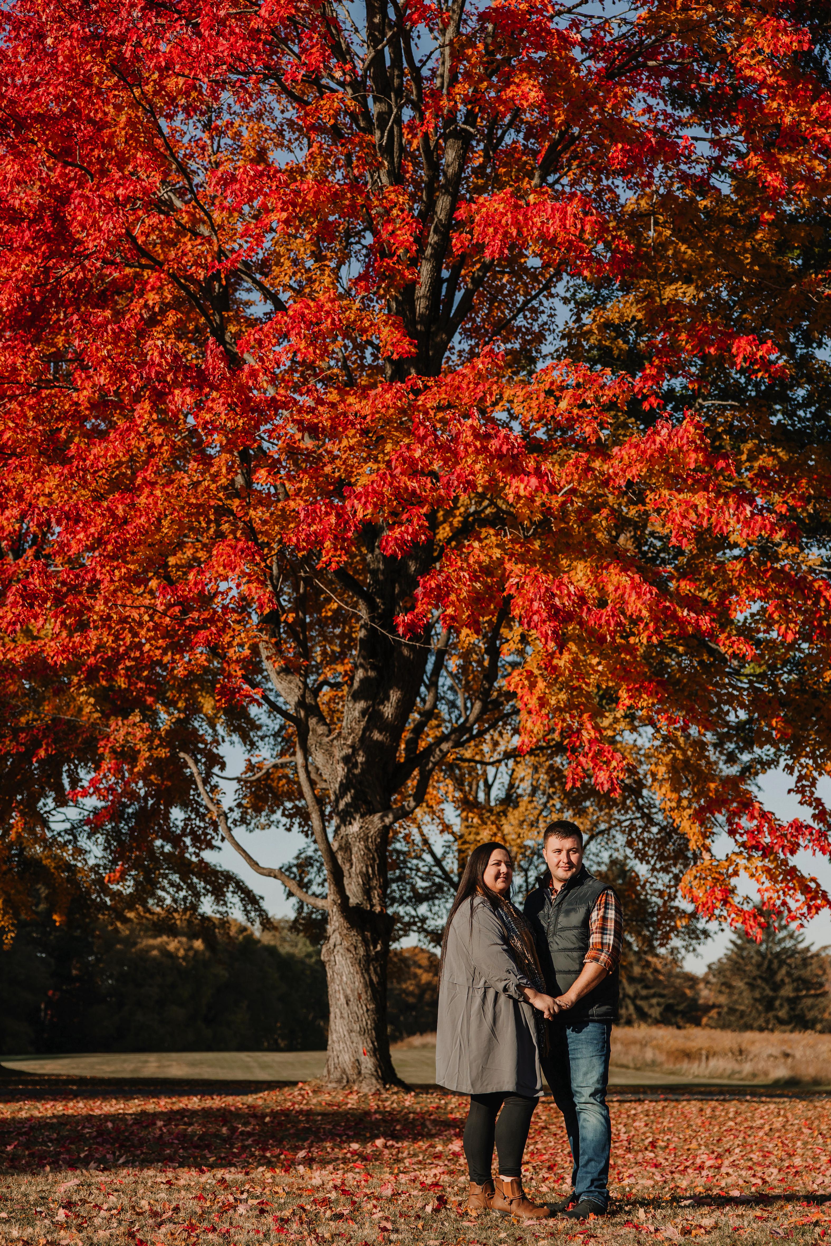 The Wedding Website of Natalia Sobczak and Michal Rychtarczyk