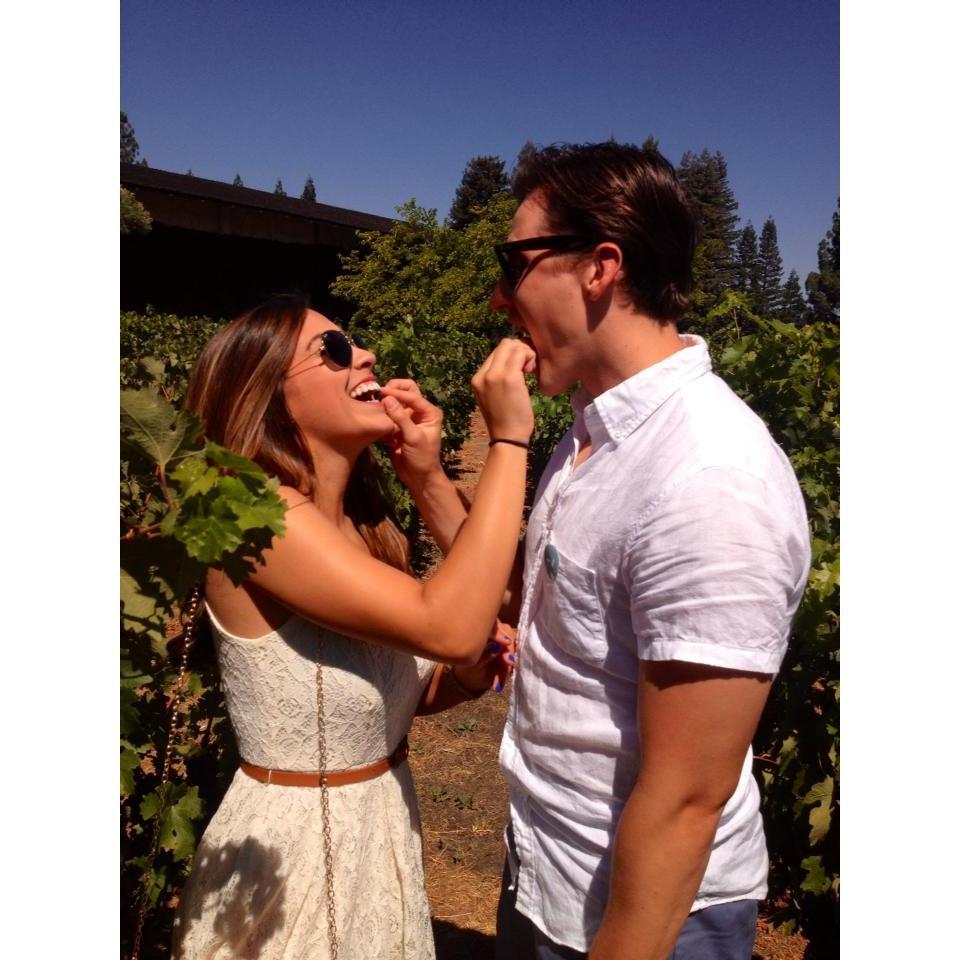 Napa Summer 2014