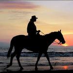 Trails End Horse Adventures