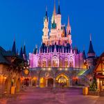 Magic Kingdom Park
