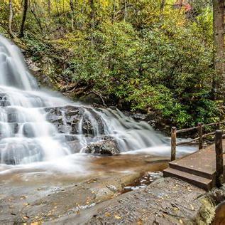 Tennessee Honeymoon