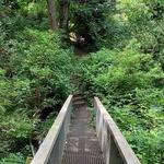 Carkeek Park
