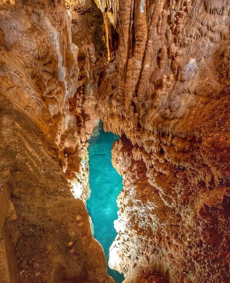 The Wedding Website of Megan Brown and Matthew Filkins