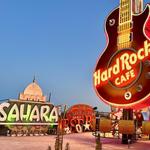 The Neon Museum