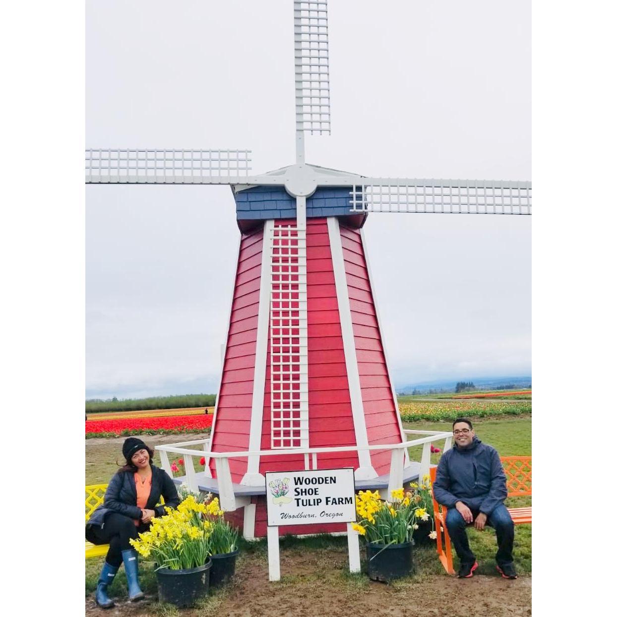 Portland, Oregon one of our favorite overnight at work. Looks like a replica of Holland. Spring season