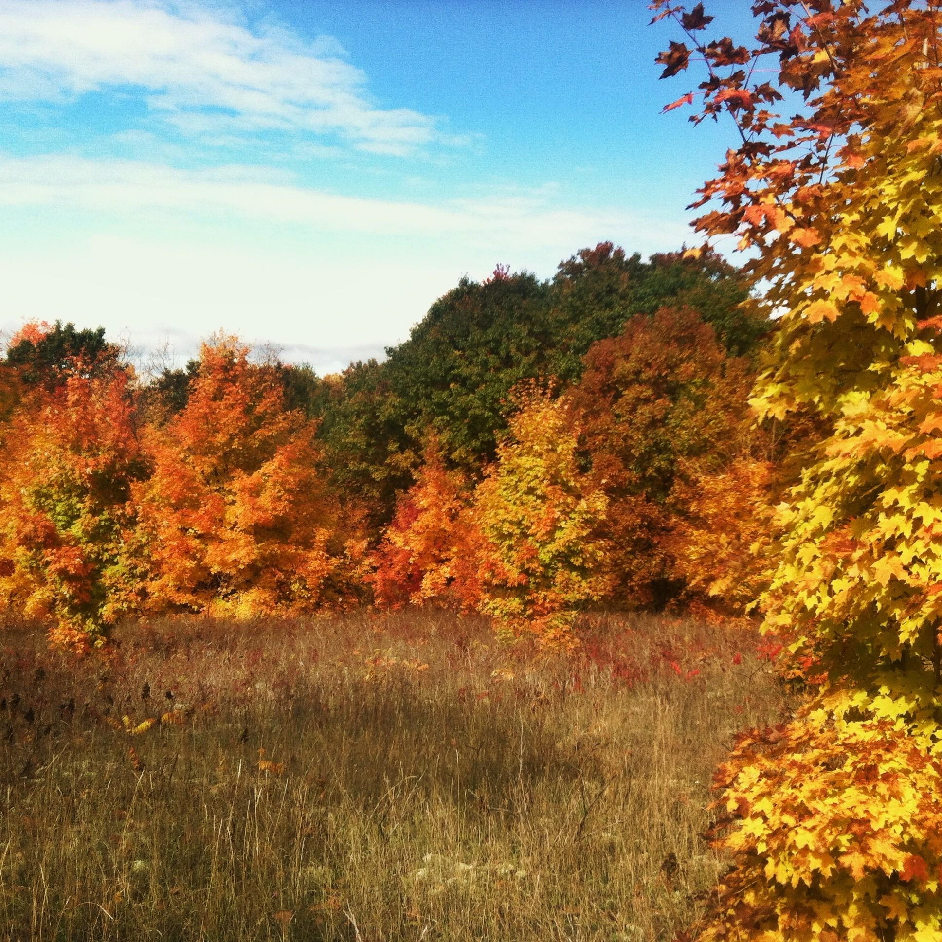October 15th, 2014:
Emilio took this photo of Samantha's parents' property while the two of them were still living there. 🍁