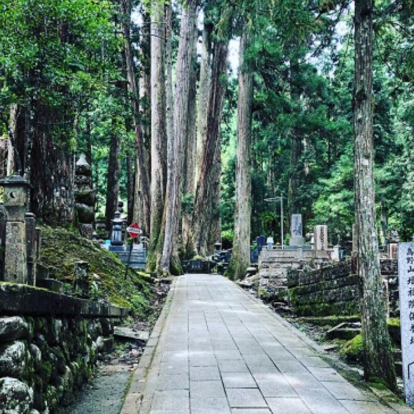 Koyasan World Heritage rail tickets