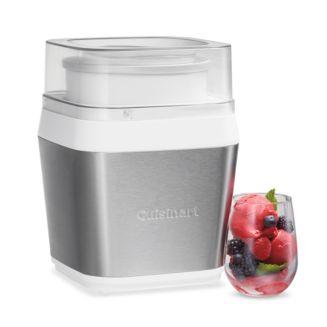 The Fruit Scoop Ice Cream & Yogurt Maker