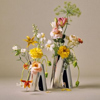 Lituus Stainless Steel Vase