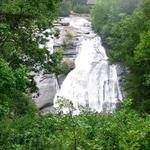 Dupont State Forest