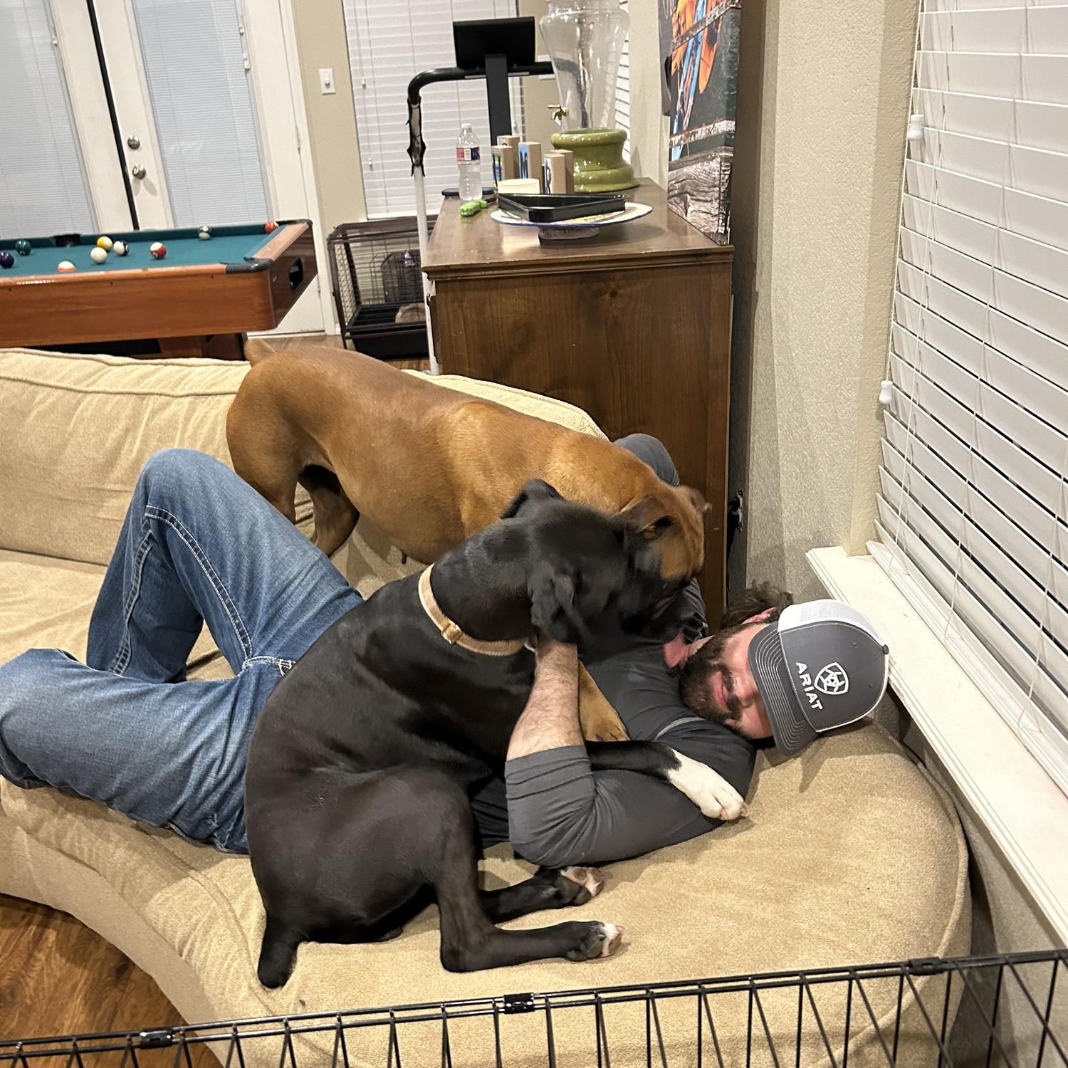 Savannah's dogs love Caulder almost as much as she does!
