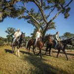 The Stables At Frederica