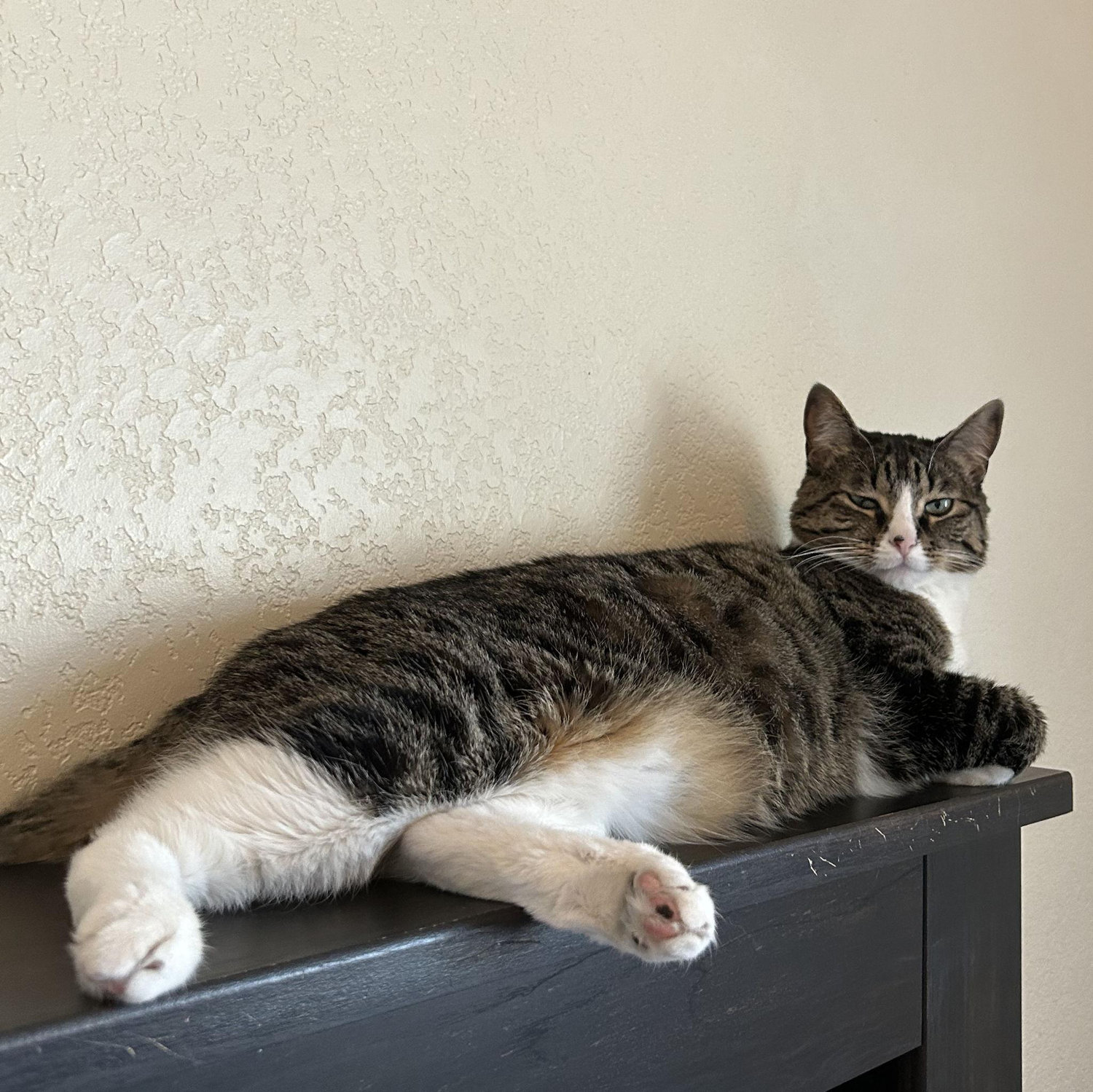 Big Kocho