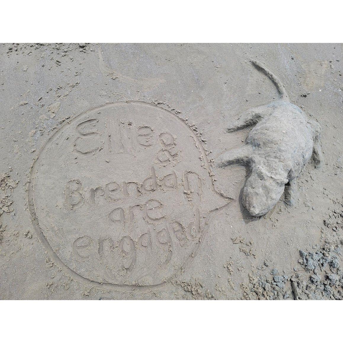 The sand possum brings tidings.