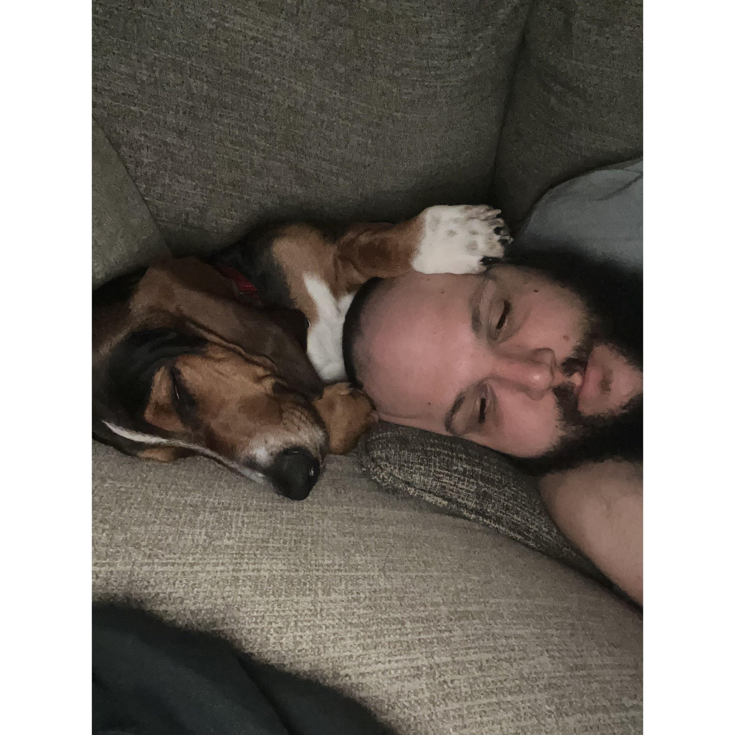 My favorite picture