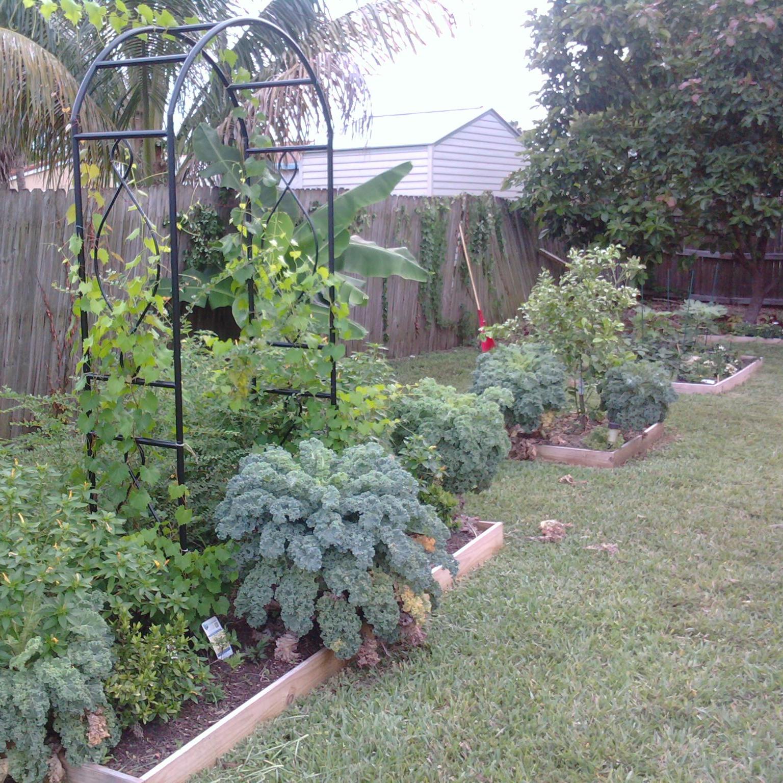 First garden together!