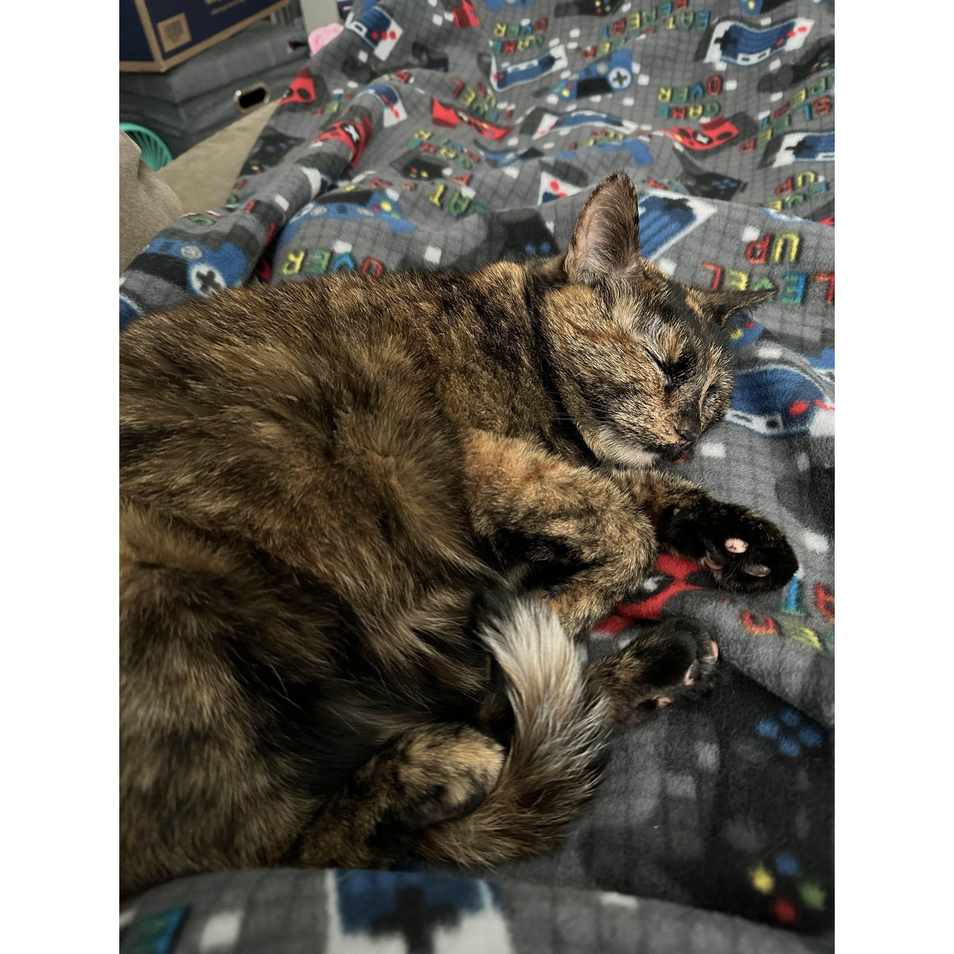 Sleepy baby