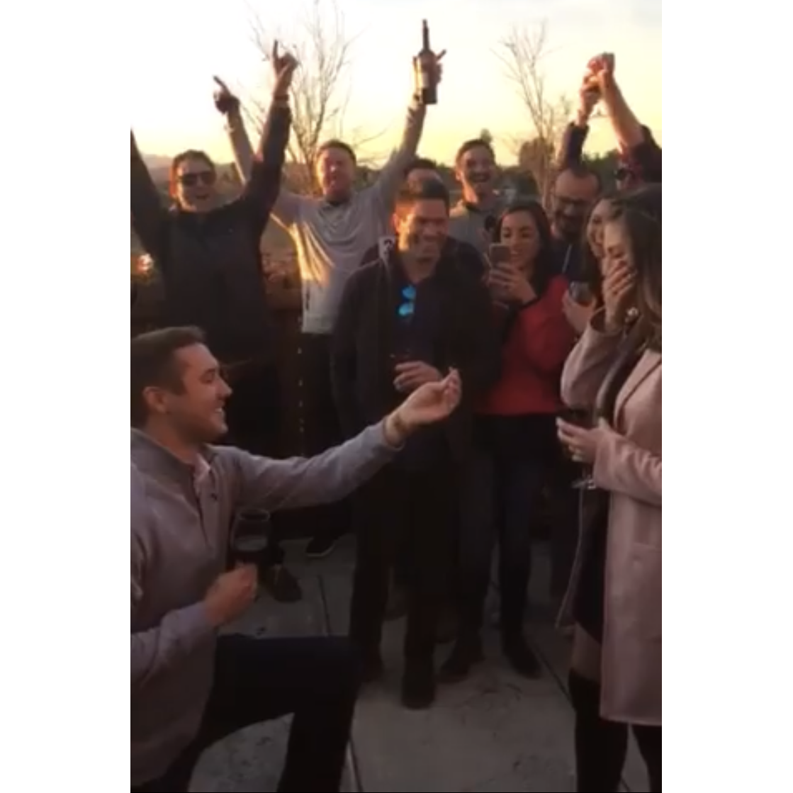 December 29, 2018: The day Alex asked Nikki to marry him!