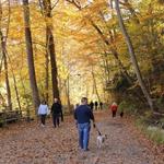 Wissahickon Valley Park