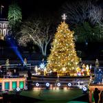 The White House - National Christmas Tree