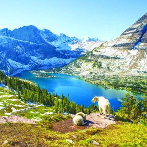 Honeymoon Roadtrip