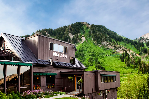 The Wedding Website of Elizabeth Gorey and Branson Vigil