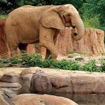 Riverbanks Zoo and Garden
