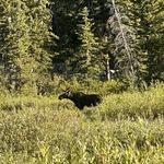 Silver Lake Nature Trail