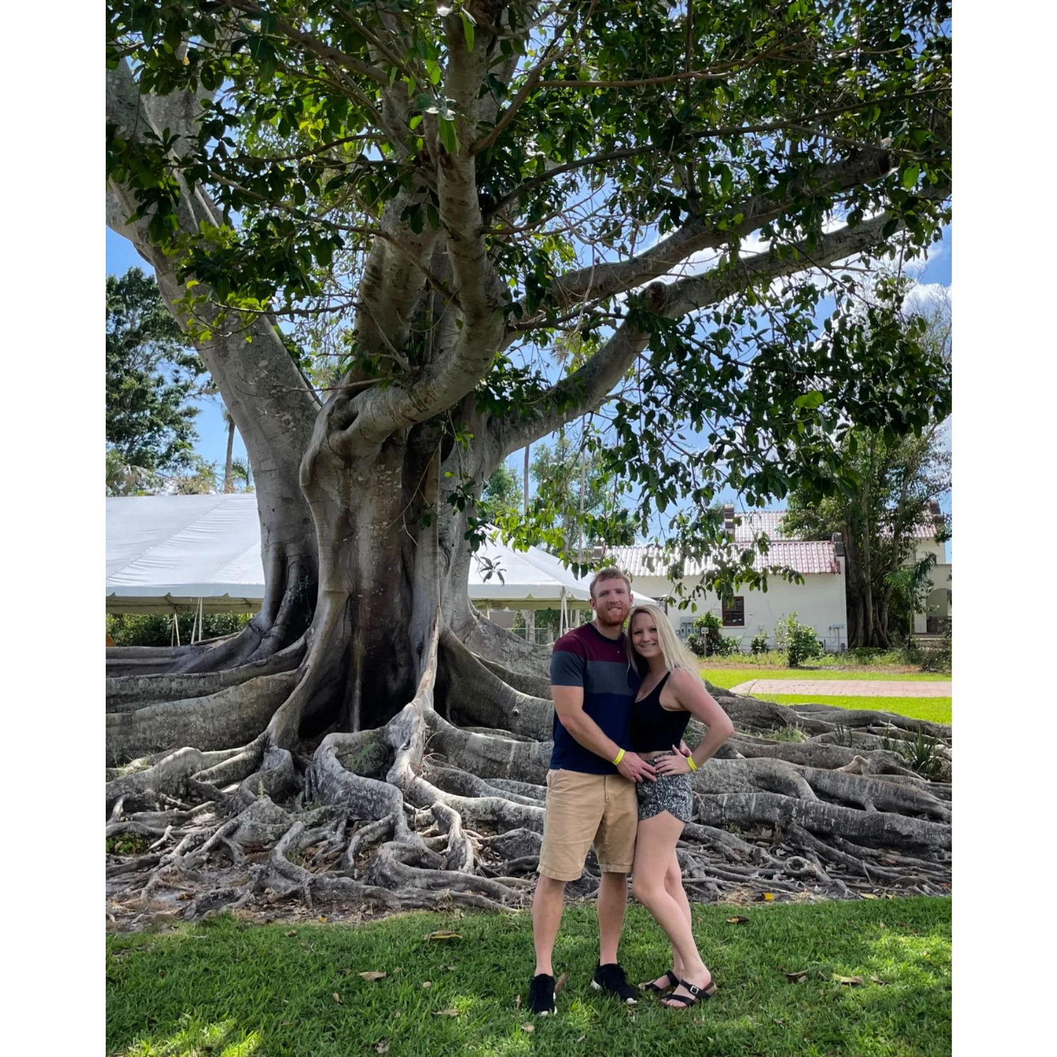 Edison and Ford estate in Florida