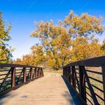 Sycamore Grove Park