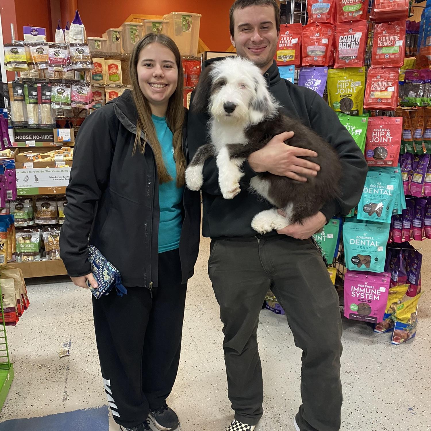 Stella’s adoption (November 2023)