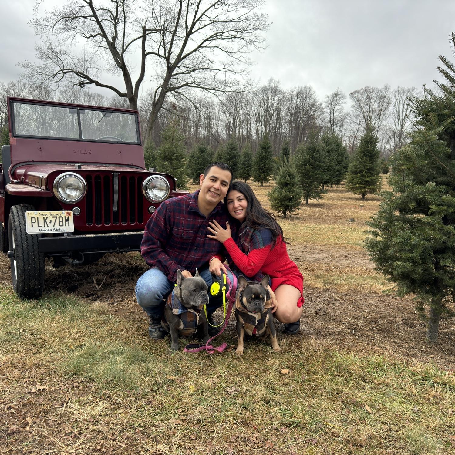 2nd Christmas card