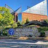 Tennessee Aquarium