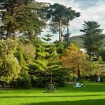 Golden Gate Park
